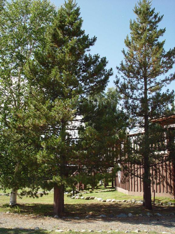Hart D Ranch Villa Slana Dış mekan fotoğraf